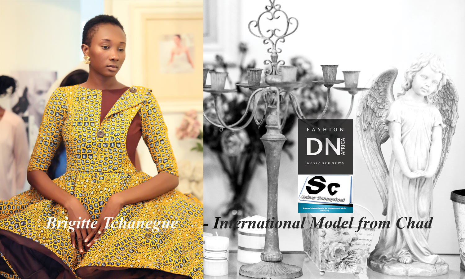 african-fashion-magazine-ama8-les awards du mannequinat africain-Brigitte-Tchanegue-International-Model-from-Chad - dn africa - STUDIO 24 NIGERIA, FATIM SIDIME FOUNDER OF LA SAGA DES MANNEQUINS - SYDNEY CONCEPTUEL