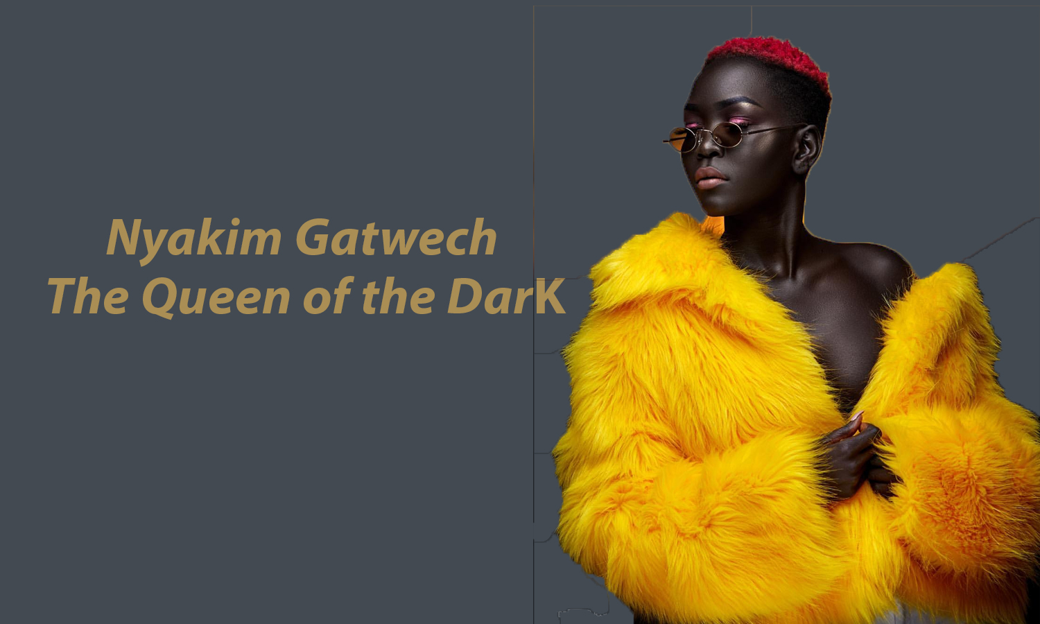 AFRICAN FASHION STYLE MAGAZINE - The Queen of Dark, Nyakim Gatwech - Photographer DAN NGU - Media Partner DN AFRICA - STUDIO 24 NIGERIA - STUDIO 24 INTERNATIONAL - Ifeanyi Christopher Oputa MD AND CEO OF COLVI LIMITED AND STUDIO 24 - Nahomie NOOR COULIBALY