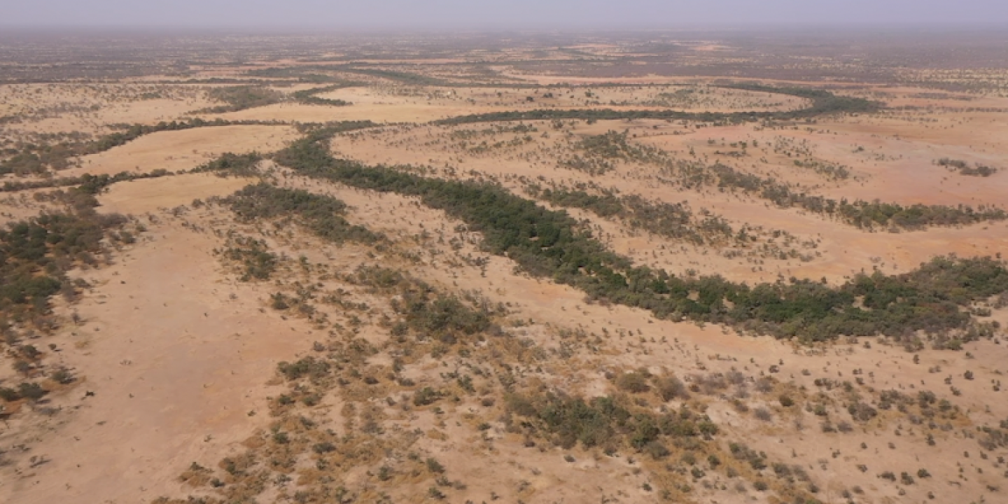 The Great Green Wall in the Sahel-Senegal