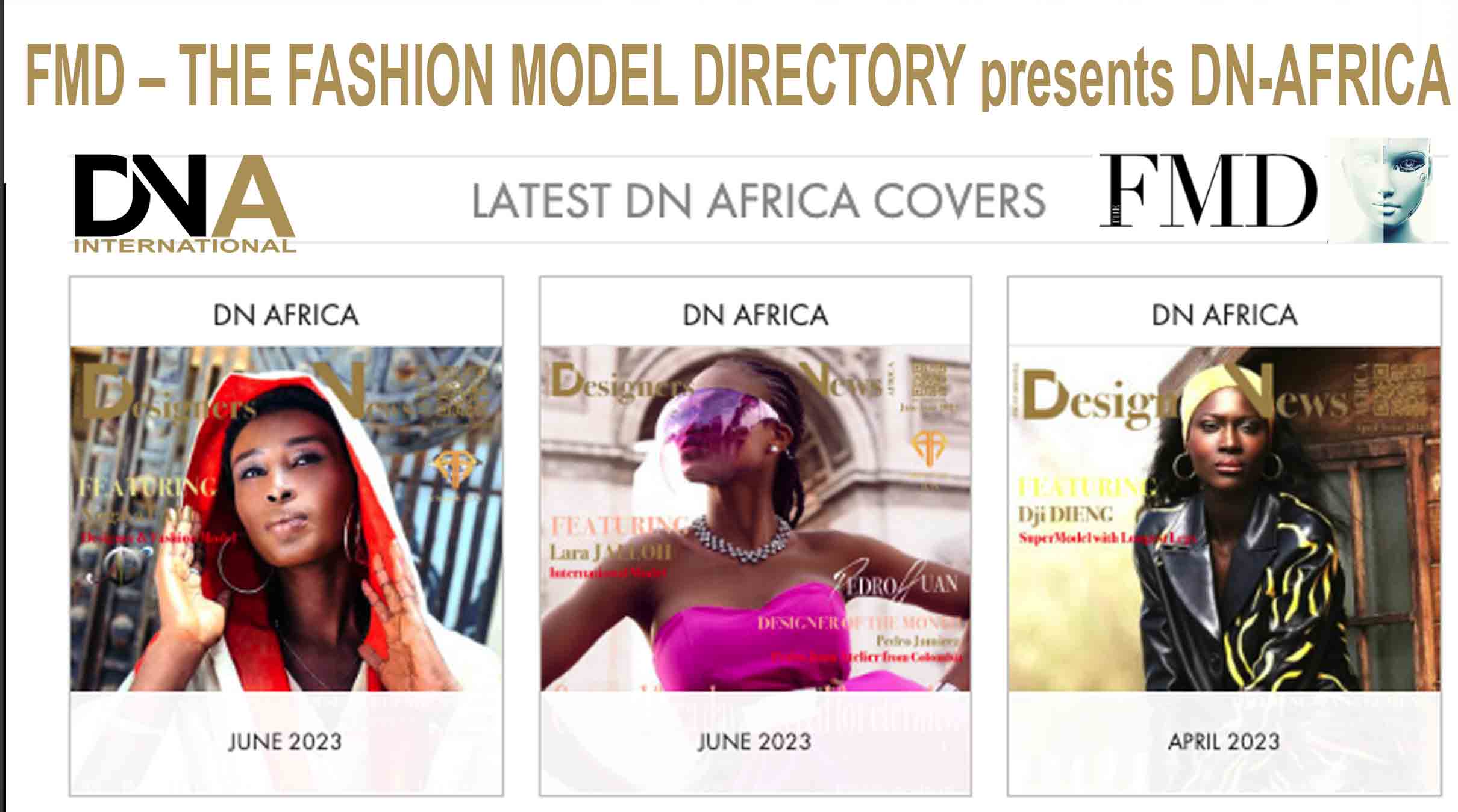 Fashion model directory
