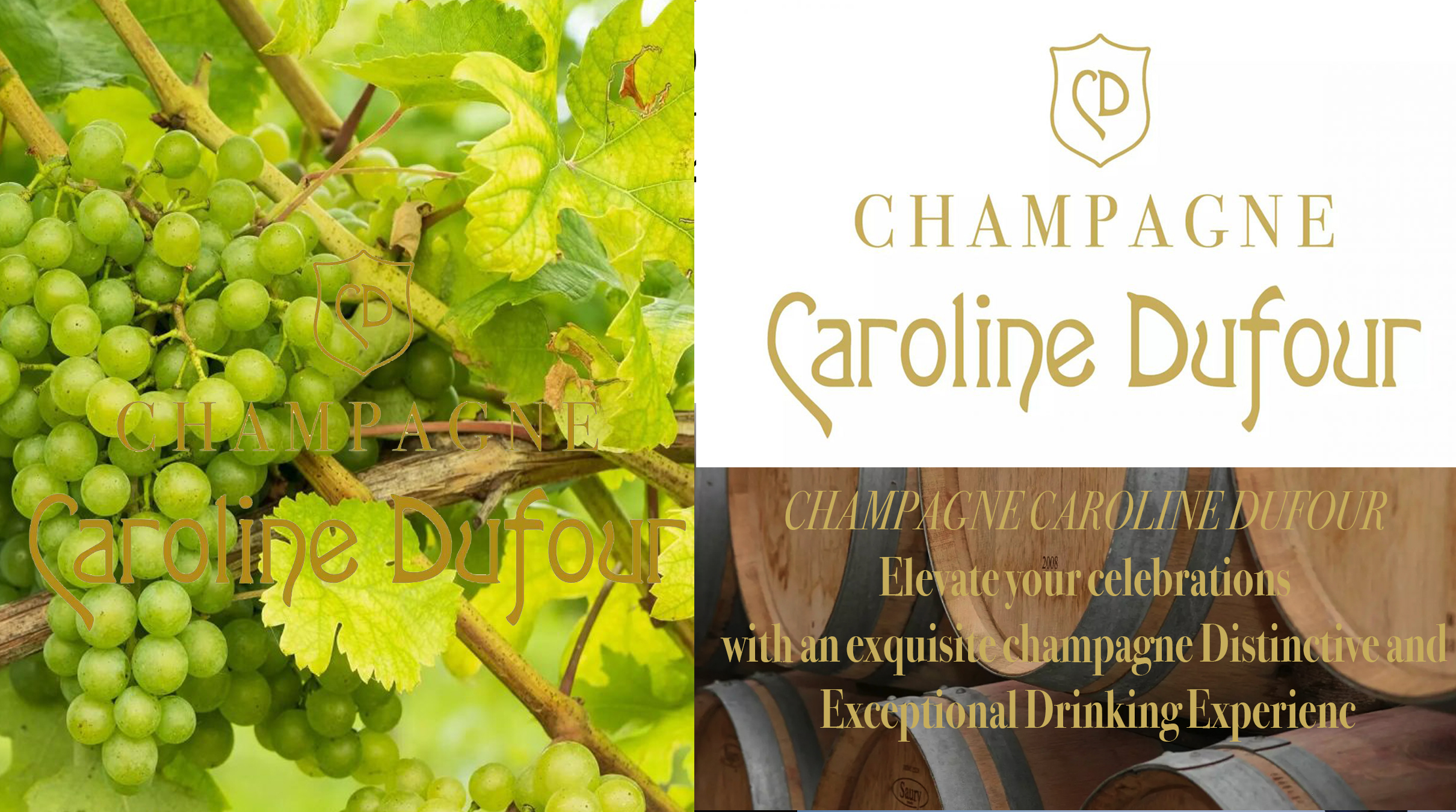 CHAMPAGNE CAROLINE DUFOUR – Elevate your celebrations with an exquisite champagne Distinctive and Exceptional Drinking Experience 