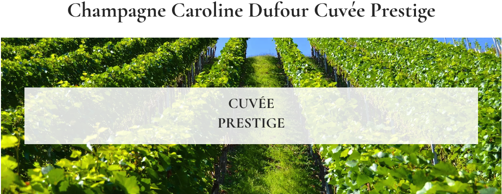 Champagne Caroline Dufour Cuvée Prestige