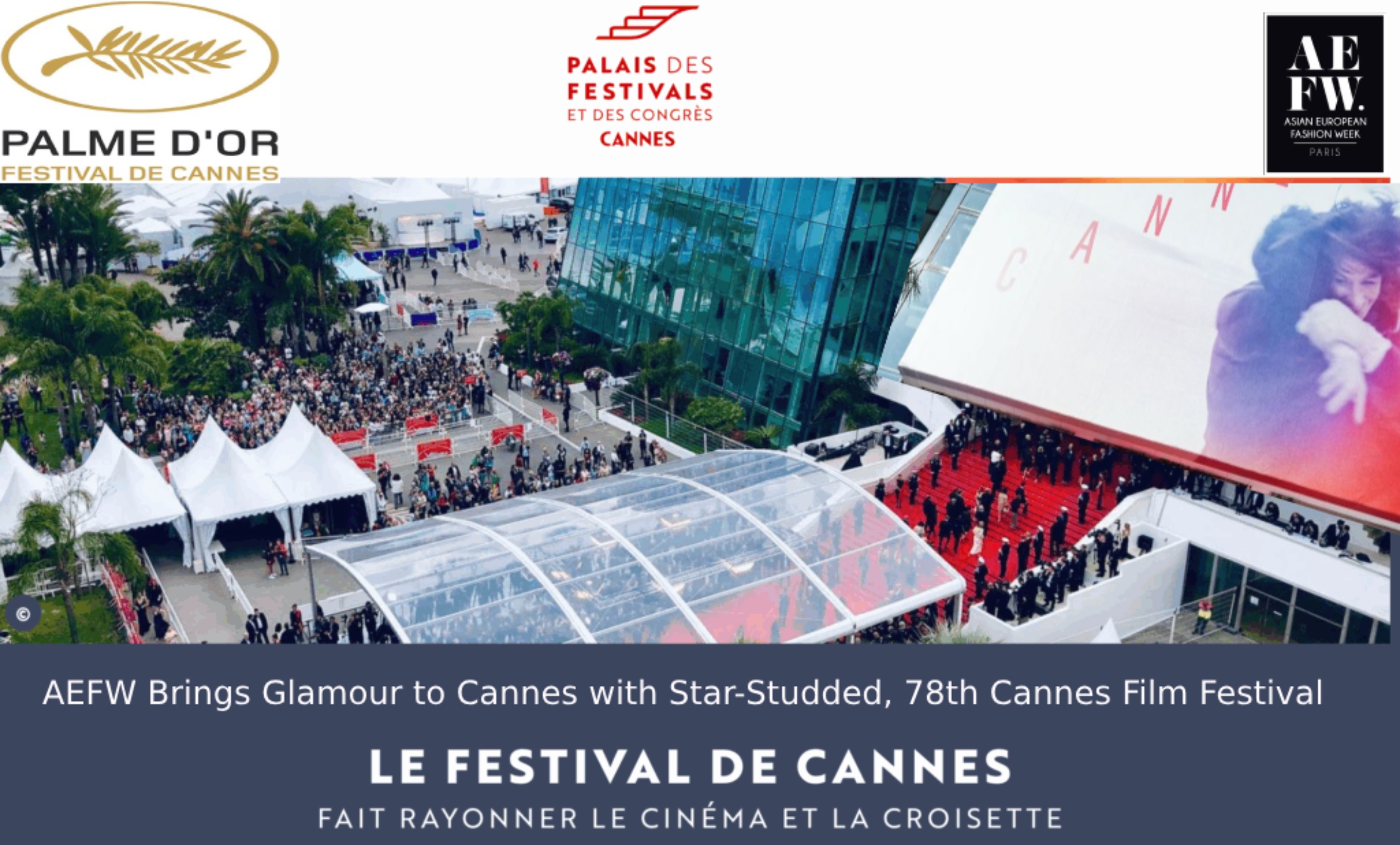 78th Cannes Film Festival, a distinctive convergence of fashion, culture, and celebrity presence took center stage along the Riviera - Red Carpet