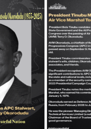 In Loving Memory of Air Vice Marshal Terry Omatsola Okorodudu 1955–2025