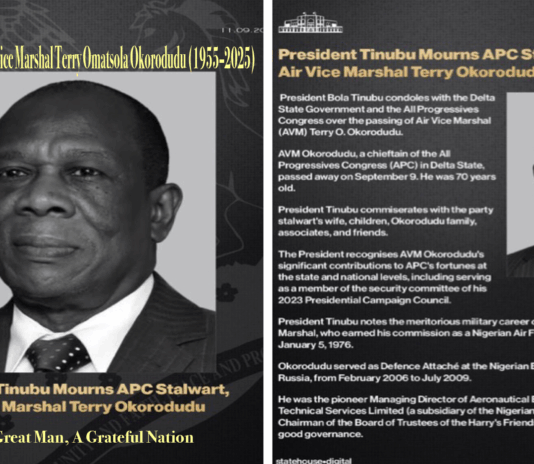 In Loving Memory of Air Vice Marshal Terry Omatsola Okorodudu 1955–2025